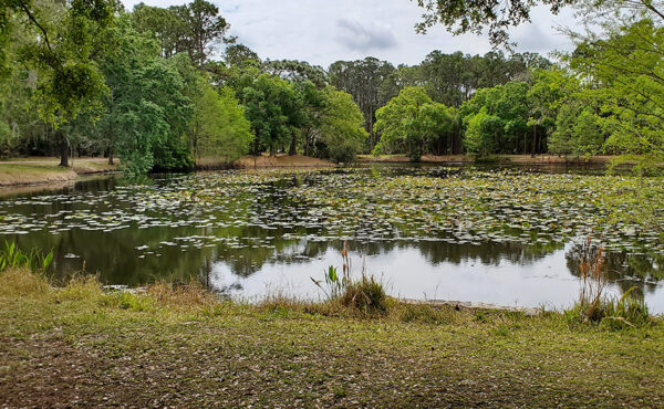 John Chesnut Sr. Park in Pinellas County